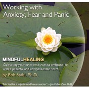 Working with Anxiety, Fear, and Panic