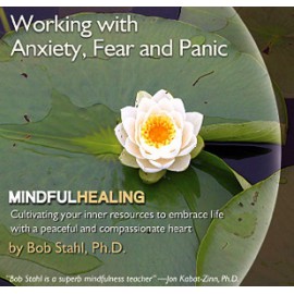 Working with Anxiety, Fear, and Panic