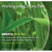 Working with Chronic Pain