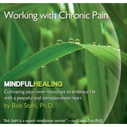 Working with Chronic Pain