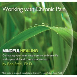 Working with Chronic Pain
