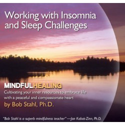 Working with Insomnia and Sleep Challenges